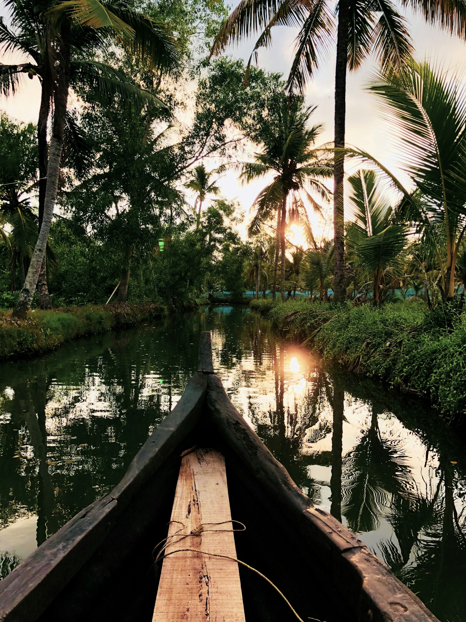 A wooden canoe gliding under coconut palms in Kerala