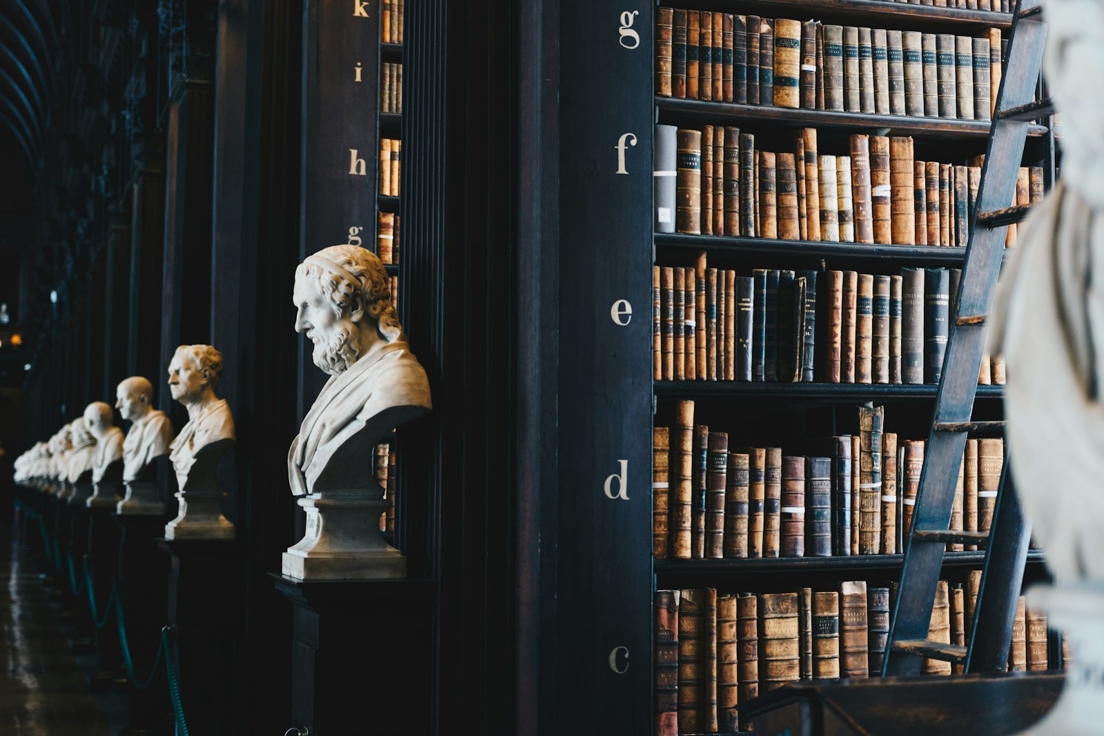 A classical library with marble busts and law volumes